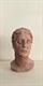 Testa in terracotta,XIX secolo 