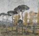 Paesaggio 