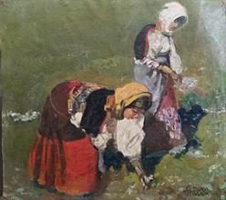 Lotto 3 - La raccolta dei fiori