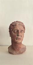 Lotto 26 - Testa in terracotta,XIX secolo 